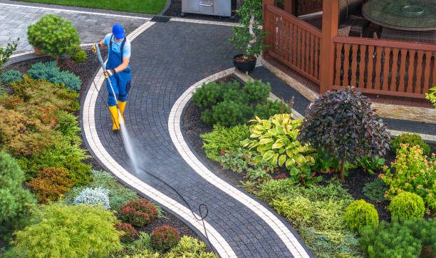 Best Power Washing Near Me  in Glendale Heights, IL